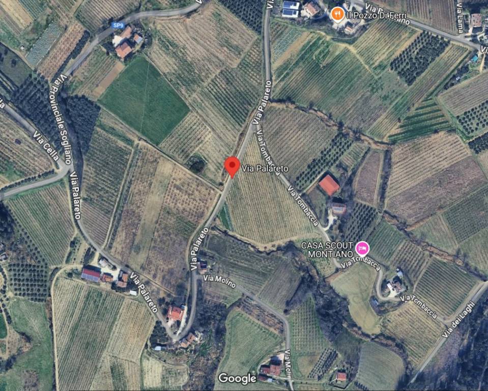 immagine annuncio 3 di 15