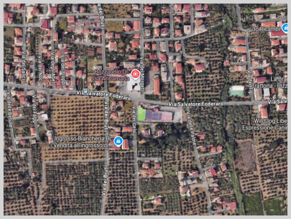 immagine annuncio 11 di 15