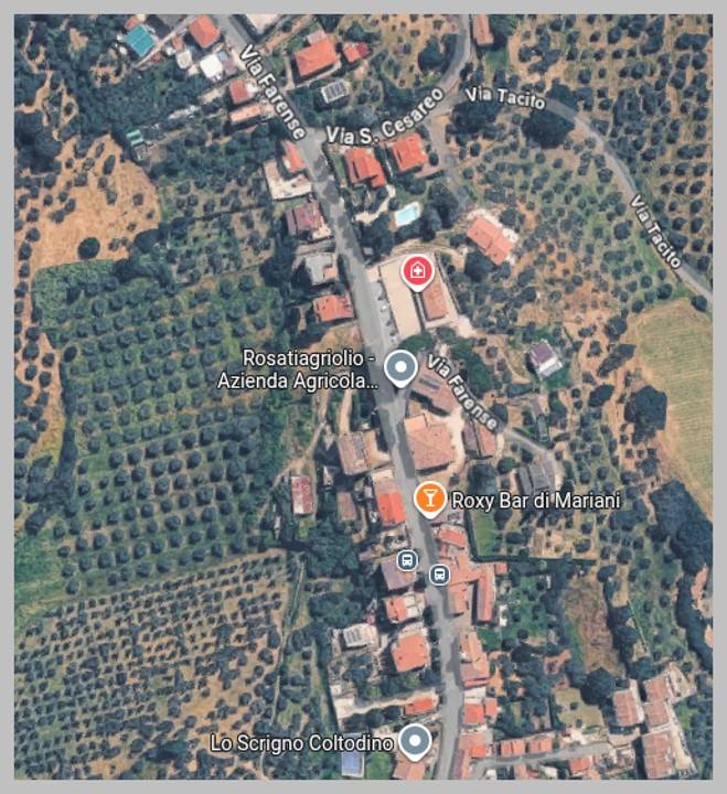 immagine annuncio 10 di 15