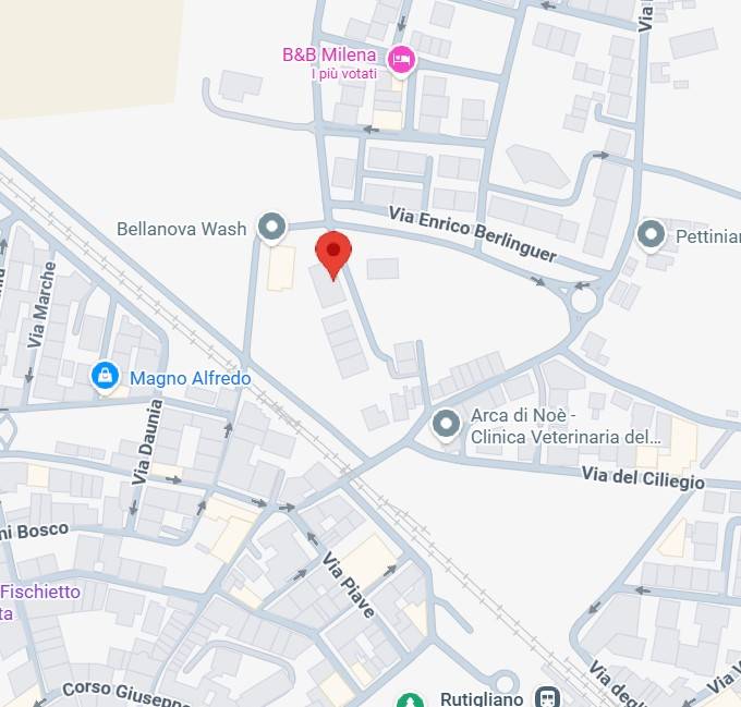 immagine annuncio 4 di 15