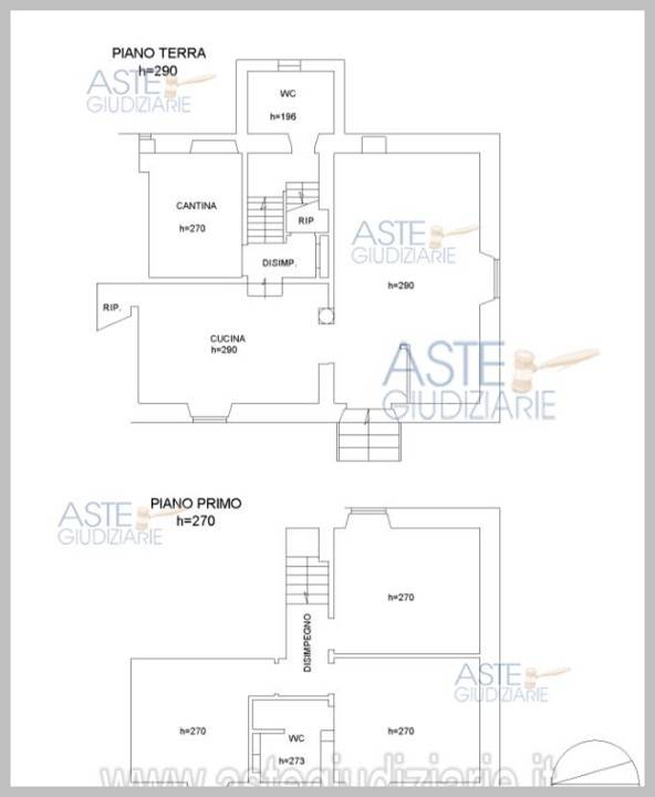 immagine annuncio 12 di 15