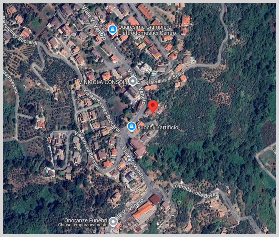 immagine annuncio 12 di 15