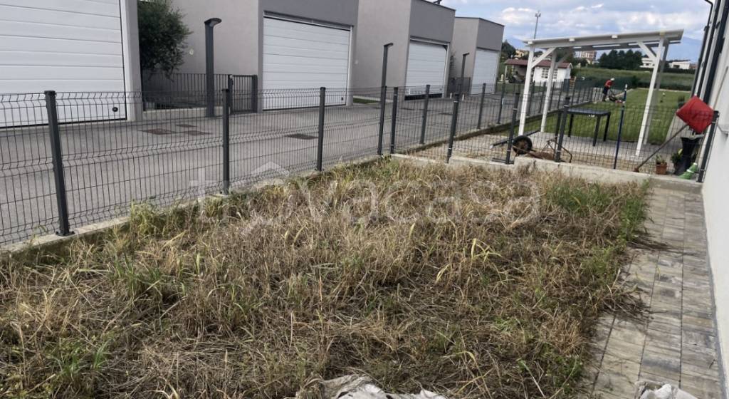 immagine annuncio 2 di 12