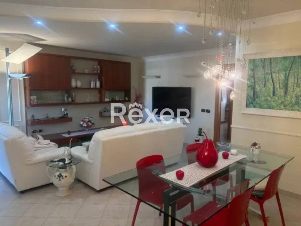 immagine annuncio 5 di 14