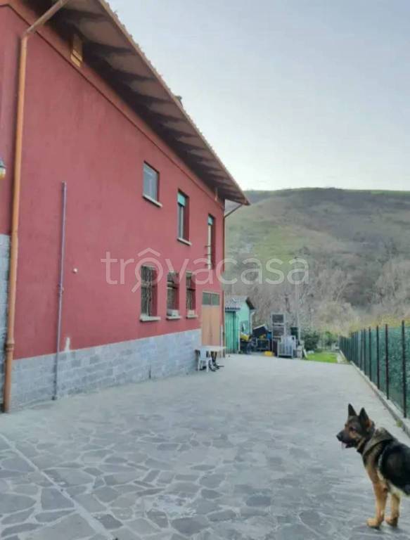 immagine annuncio 5 di 11