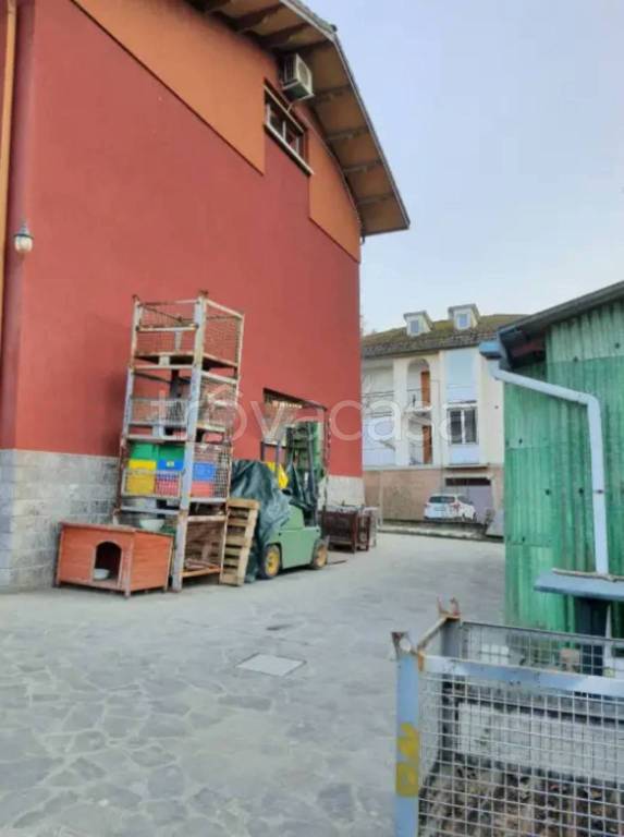 immagine annuncio 8 di 11