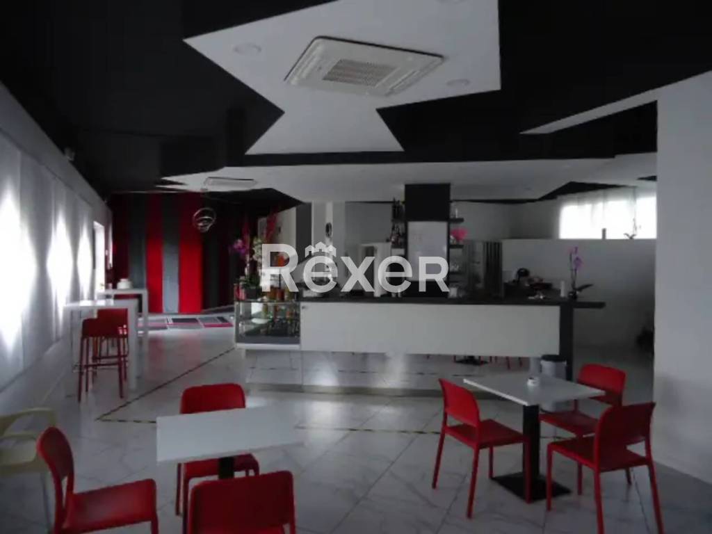 immagine annuncio 4 di 14