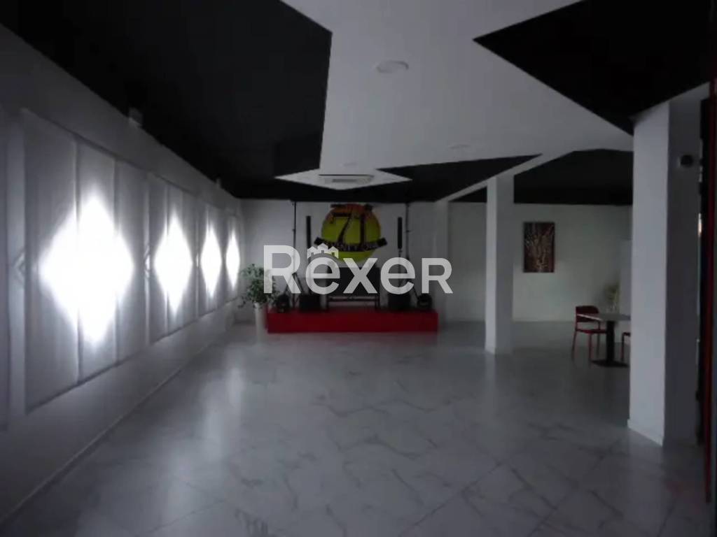 immagine annuncio 6 di 14