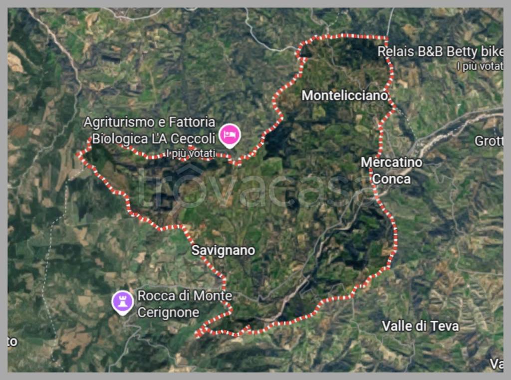 immagine annuncio 10 di 15