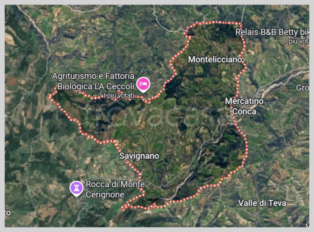 immagine annuncio 14 di 15