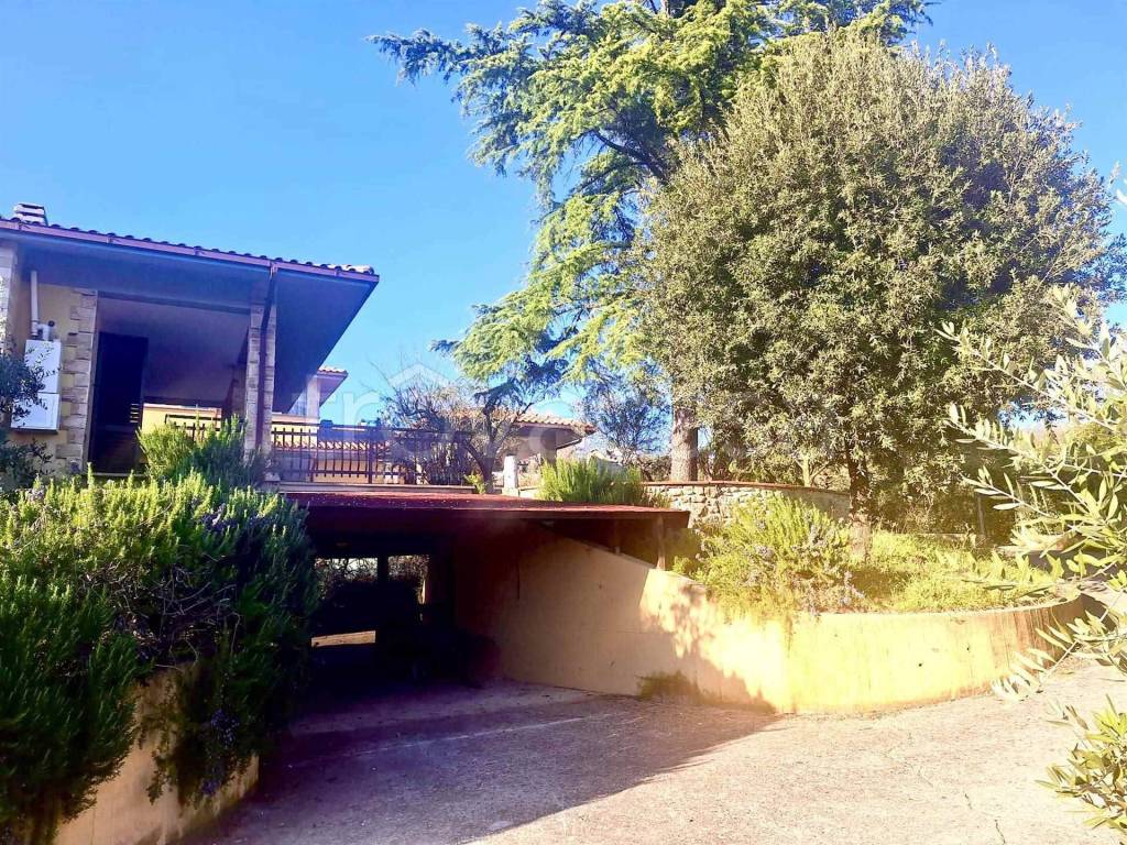 immagine annuncio 6 di 12