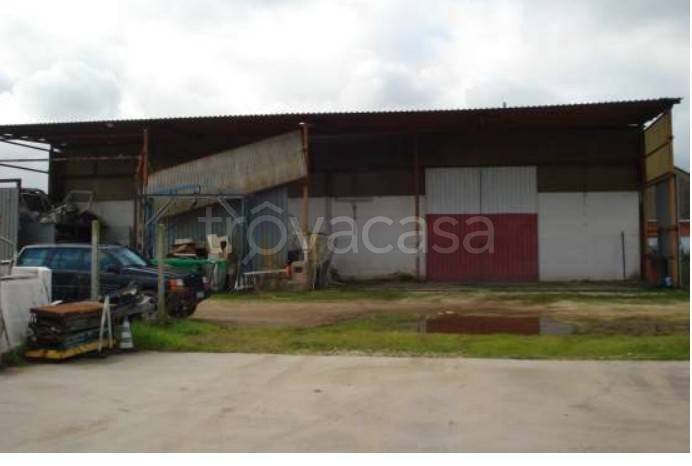 immagine annuncio 2 di 9