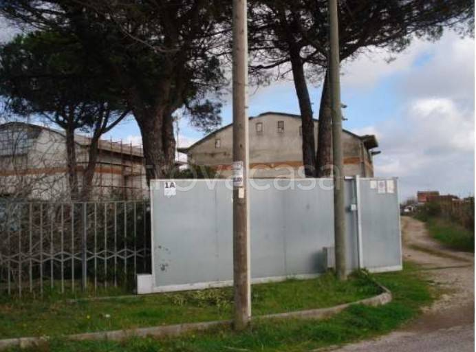 immagine annuncio 4 di 9