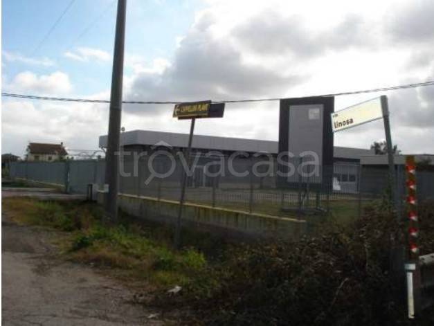 immagine annuncio 5 di 9