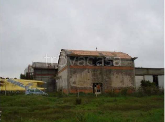 immagine annuncio 7 di 9