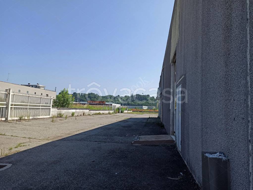 immagine annuncio 5 di 15