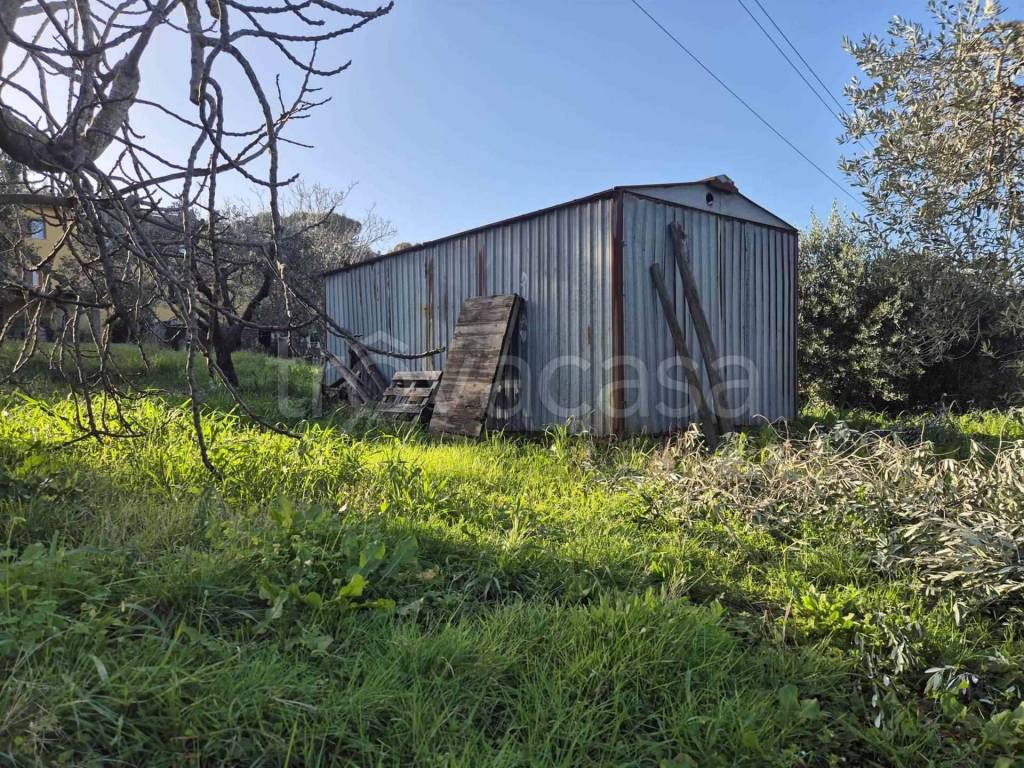 immagine annuncio 8 di 15