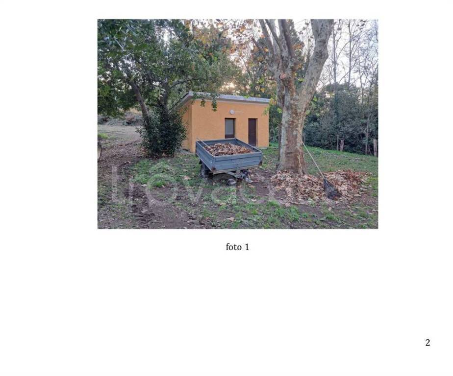 immagine annuncio 8 di 11