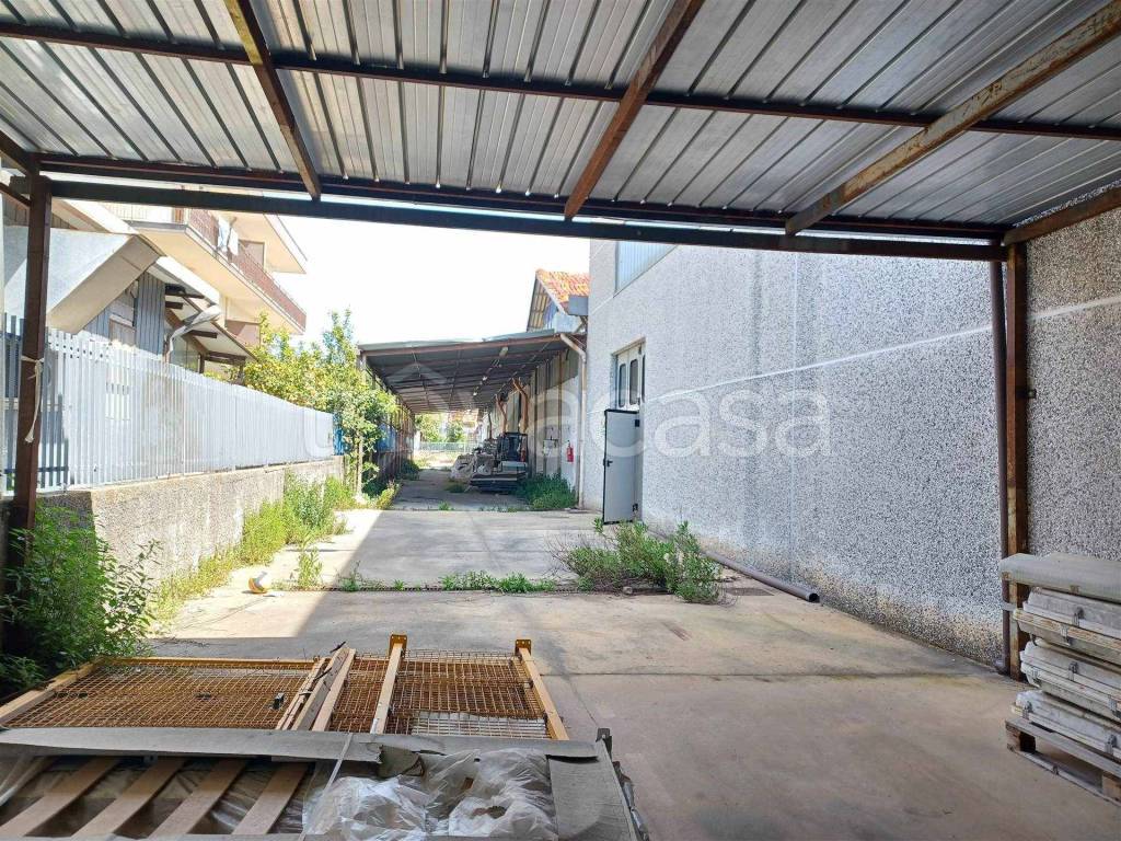 immagine annuncio 12 di 15