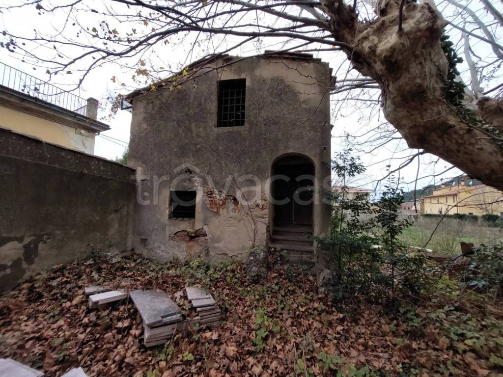 immagine annuncio 8 di 11