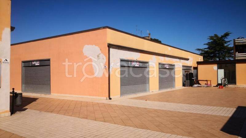 immagine annuncio 2 di 4