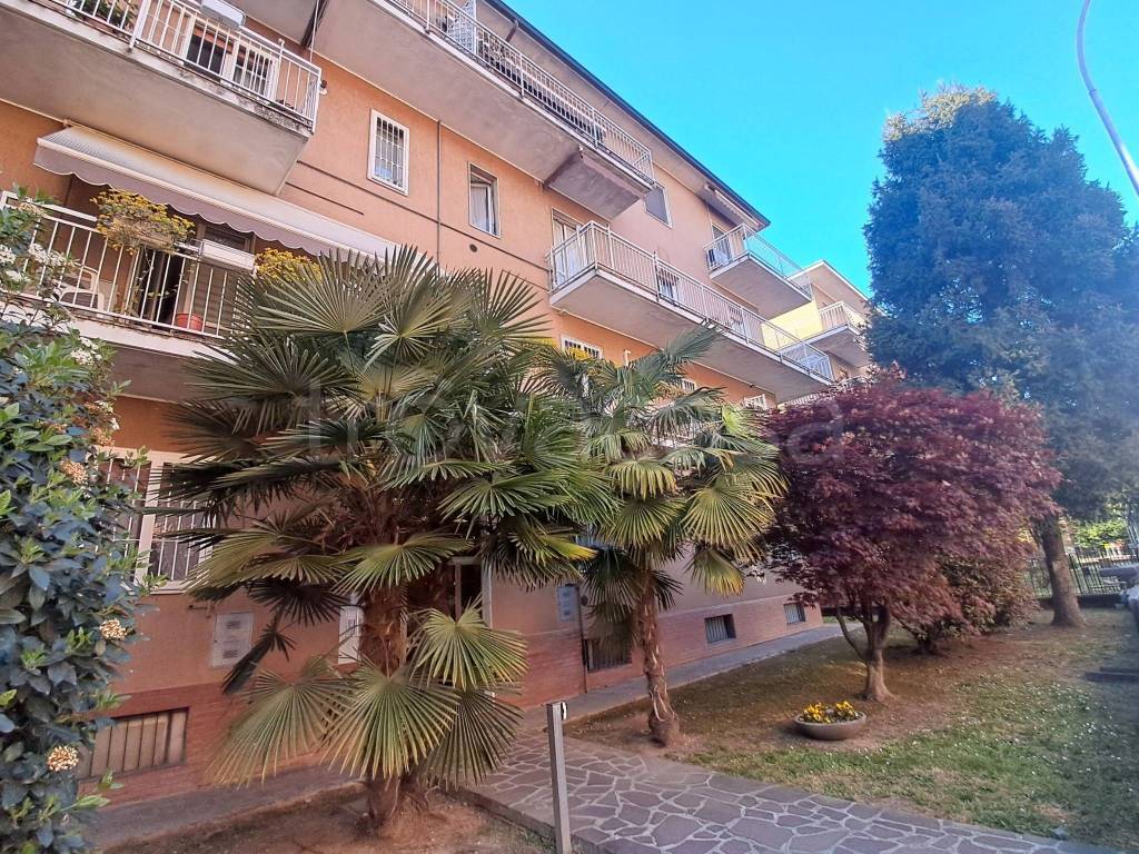 immagine annuncio 3 di 15