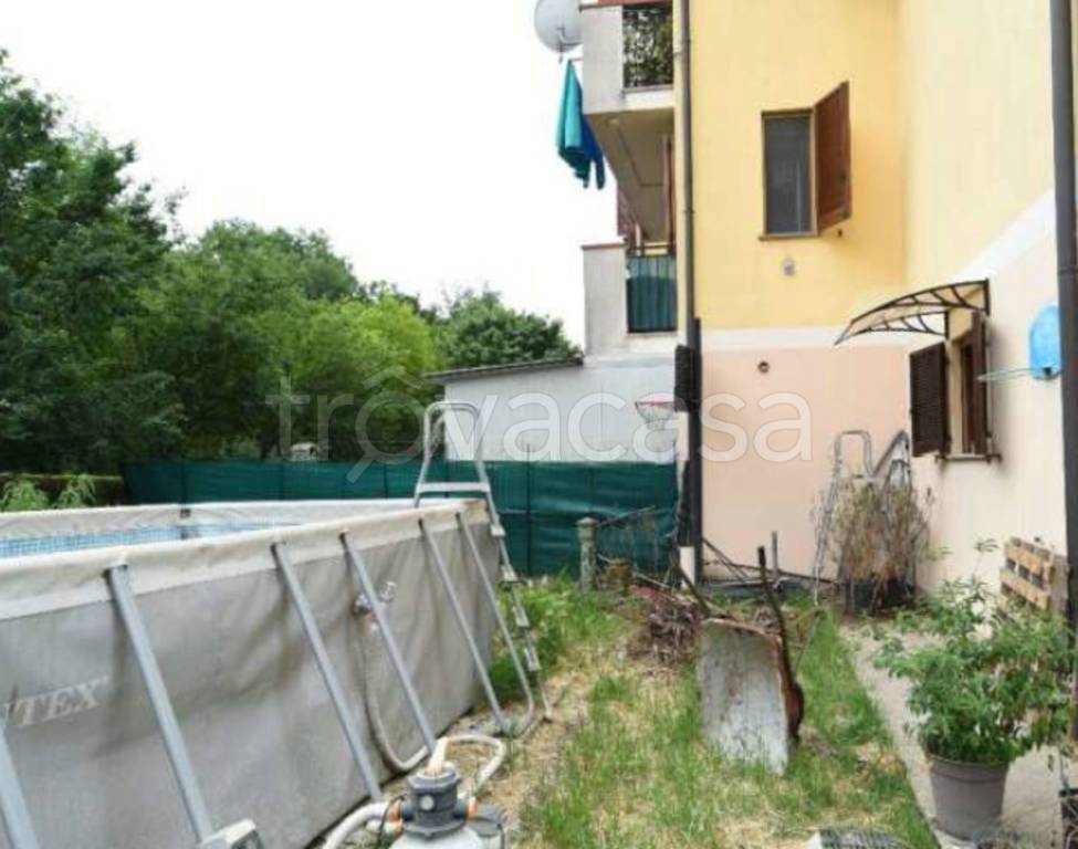 immagine annuncio 12 di 13