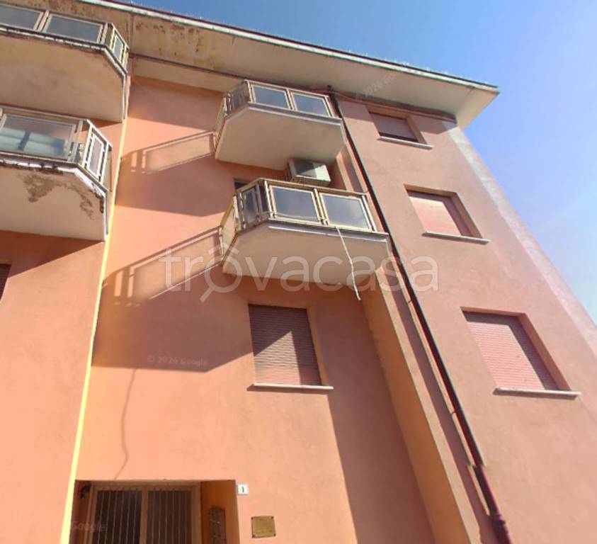 immagine annuncio 3 di 11