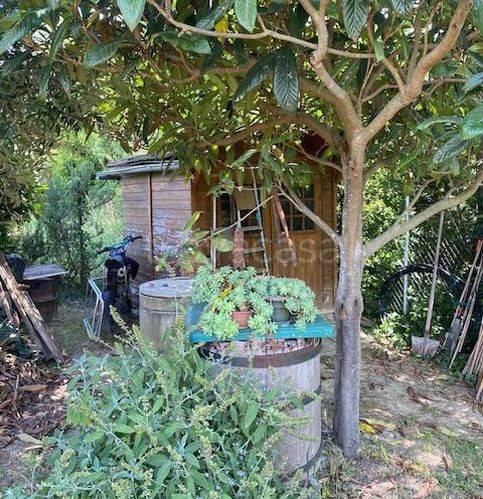 immagine annuncio 1 di 6