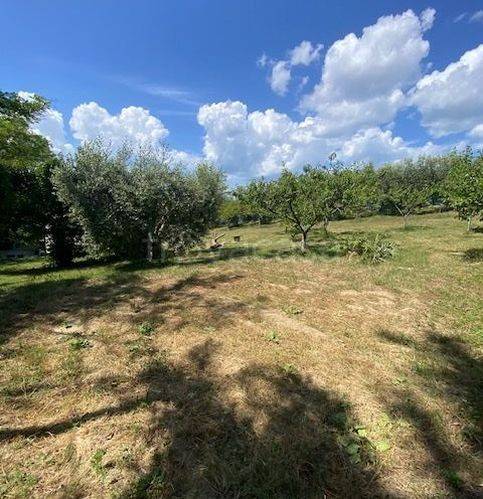 immagine annuncio 2 di 6