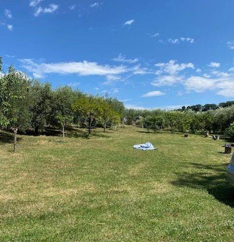 immagine annuncio 4 di 6