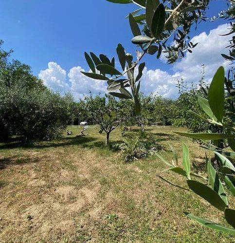 immagine annuncio 5 di 6