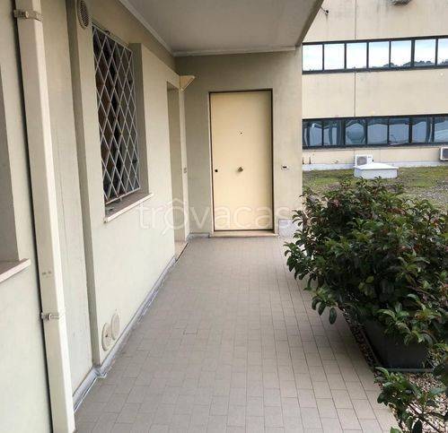 immagine annuncio 7 di 8