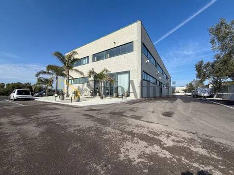 immagine annuncio 6 di 7