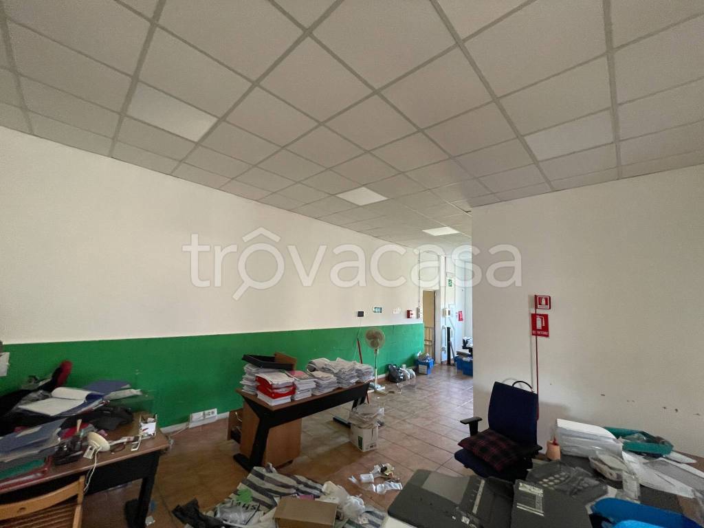 immagine annuncio 5 di 8