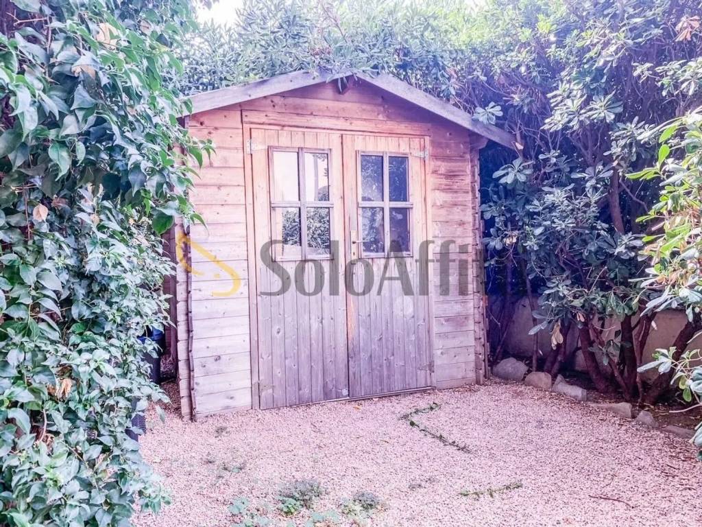 immagine annuncio 12 di 14