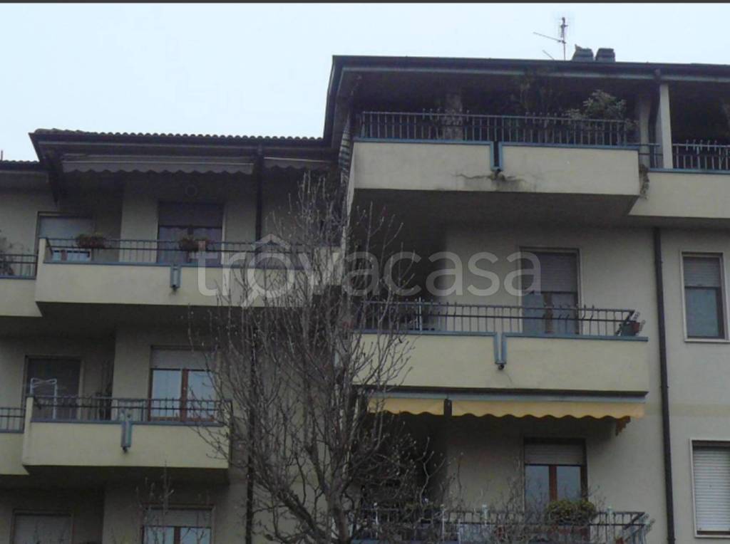 immagine annuncio 3 di 12