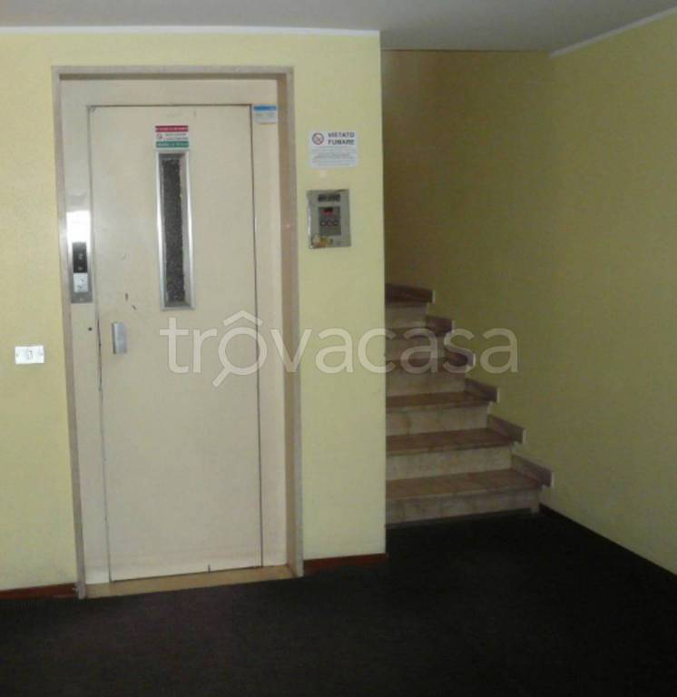 immagine annuncio 7 di 12