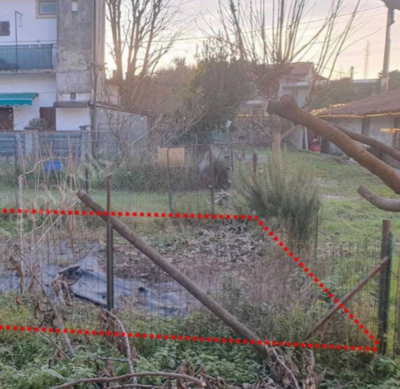 immagine annuncio 2 di 13