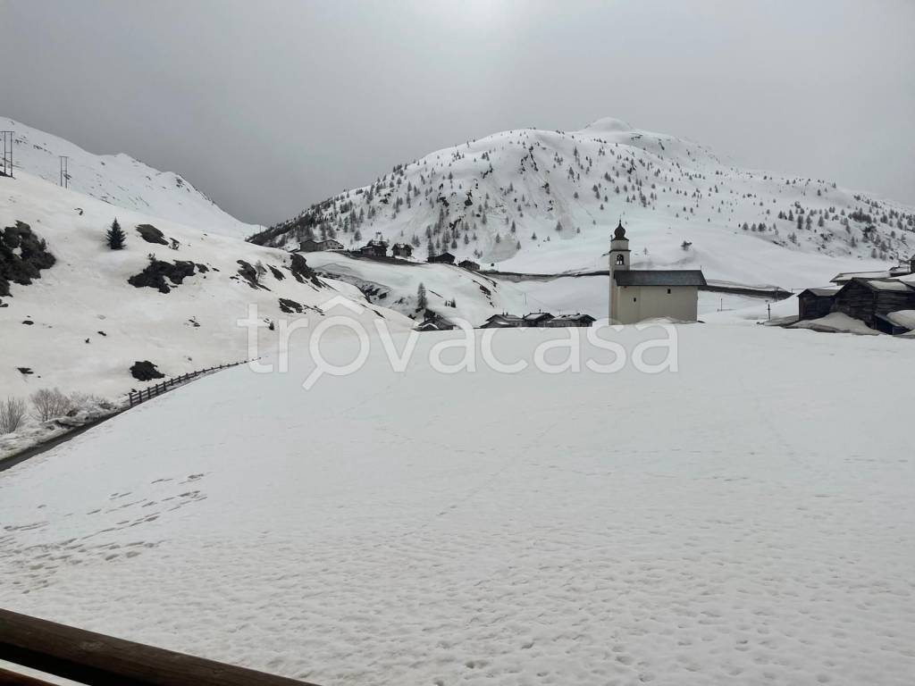 immagine annuncio 11 di 12