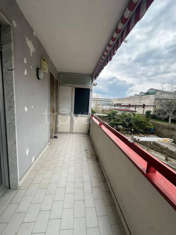 immagine annuncio 12 di 14