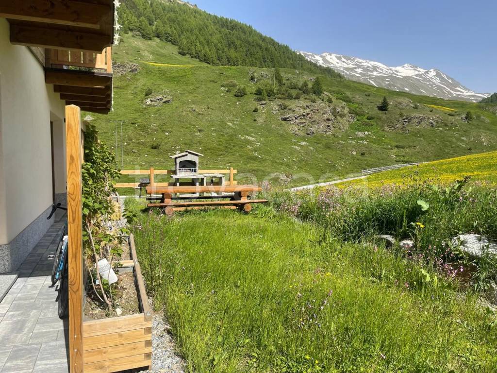 immagine annuncio 6 di 12