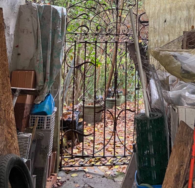 immagine annuncio 6 di 11