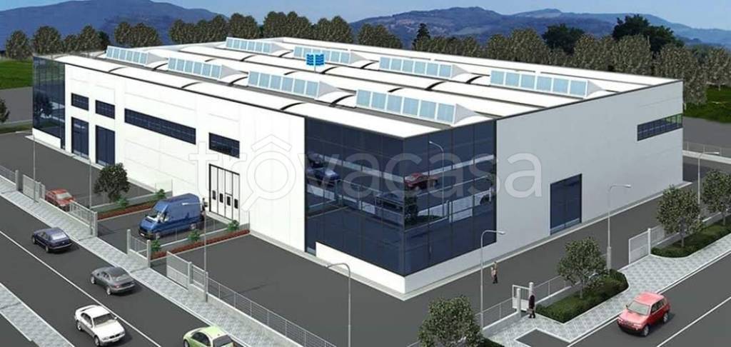 immagine annuncio 2 di 3