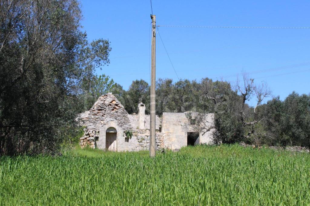 immagine annuncio 2 di 13