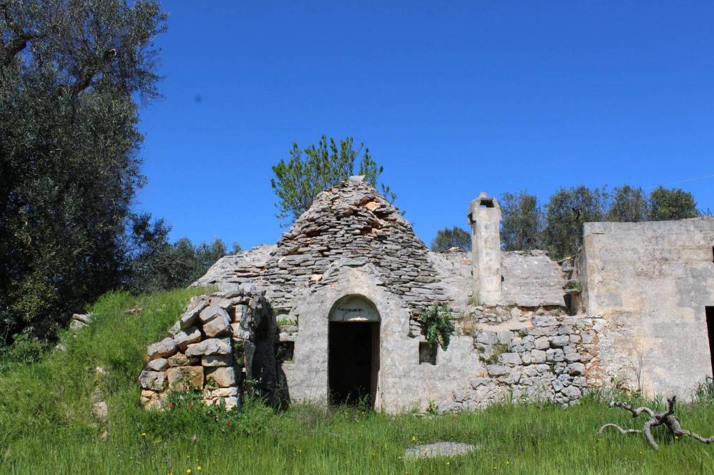 immagine annuncio 3 di 13