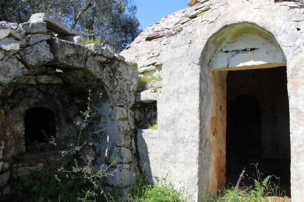 immagine annuncio 4 di 13