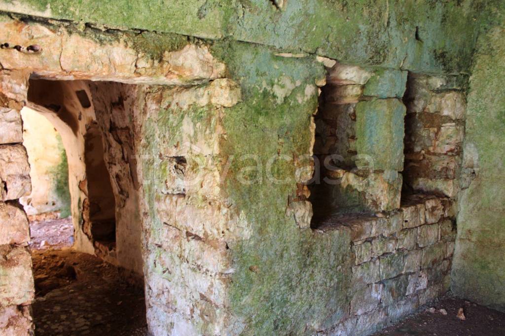 immagine annuncio 6 di 13