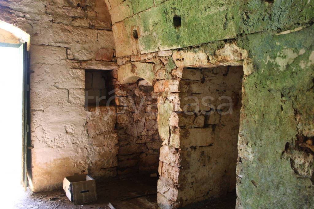 immagine annuncio 10 di 13