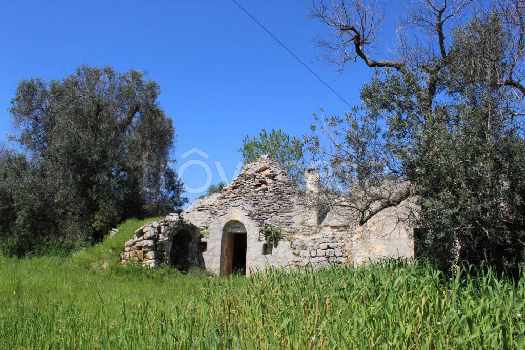 immagine annuncio 11 di 13